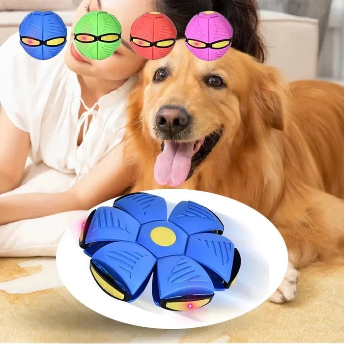 AeroPaw 2-in-1 Ball & Frisbee