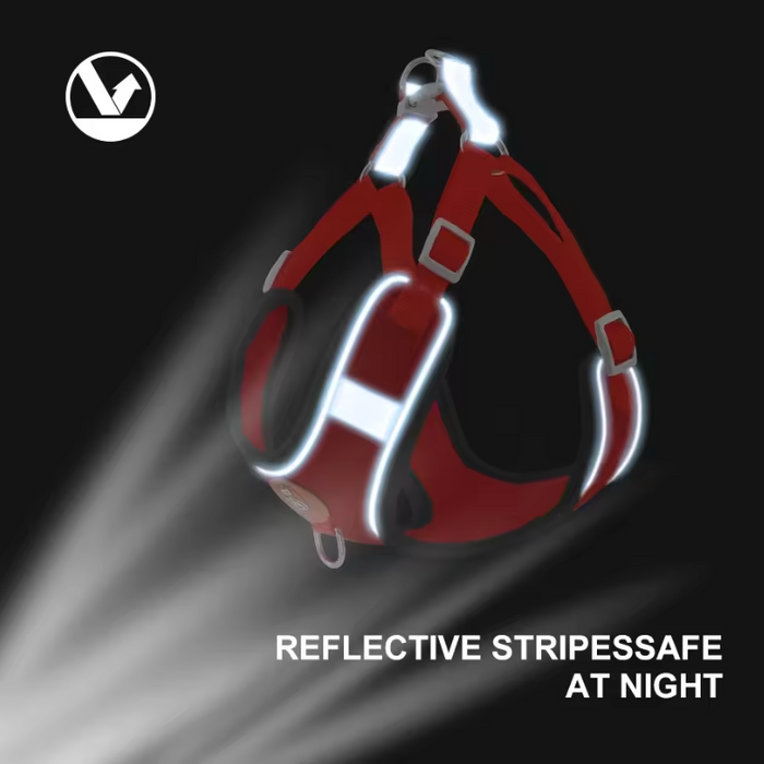 AeroStride Soft-Flex Harness & Leash Set