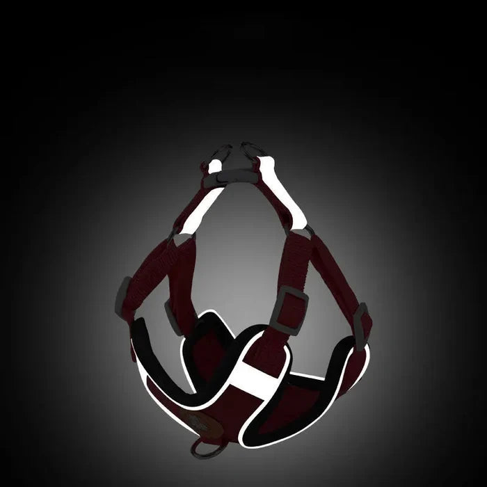 AeroStride Soft-Flex Harness & Leash Set