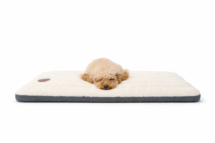 Alaska Memory Foam Faux Fur Dog Pet Mat - Orthopaedic Support & British Design - Dog Mat for dogs Snug and Cosy Pets