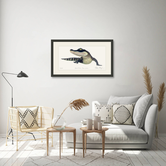 American Alligator Limited Edition Print Nick Mayer