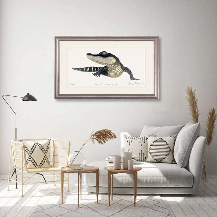 American Alligator Limited Edition Print Nick Mayer