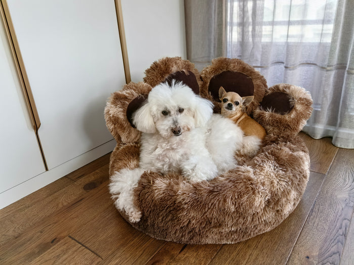 Anti-Anxiety Paw Shaped Dog Bed | Calming Faux Fur Pet Bed | Snug and Cosy Pets - Dog Beds & Loungers for dogs Snug and Cosy Pets
