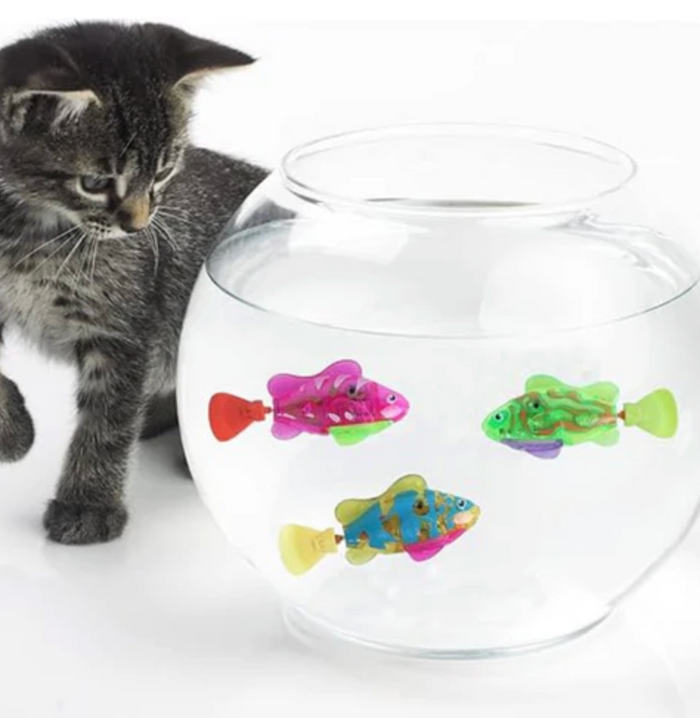 AquaBuddies Swimming Cat Toy Fish Set