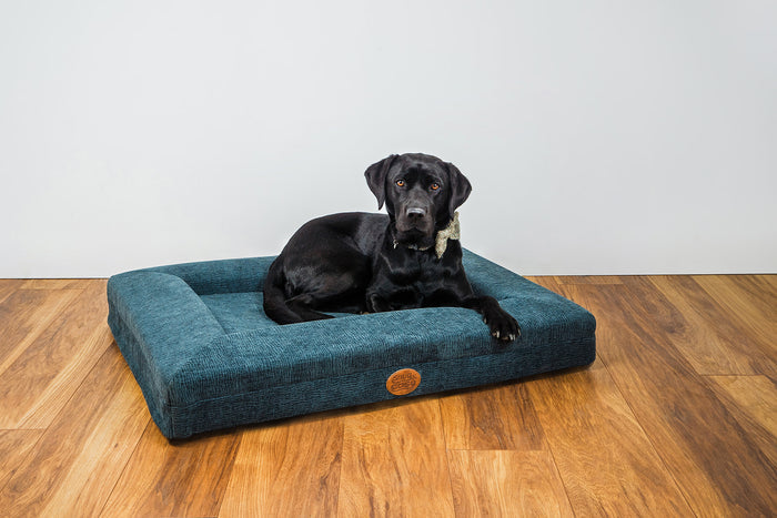 Ascot Orthopaedic Dog Lounger Beds - Comfort & Support for Your Pet - for dogs Snug and Cosy Pets