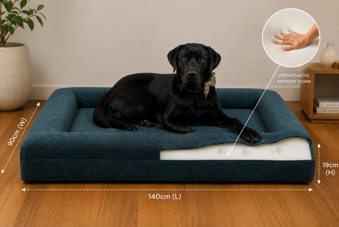 Ascot Orthopaedic Dog Lounger Beds - Comfort & Support for Your Pet - for dogs Snug and Cosy Pets
