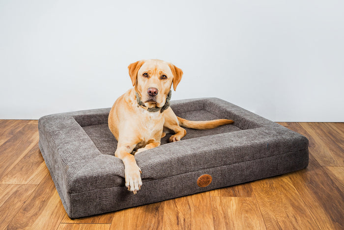 Ascot Orthopaedic Dog Lounger Beds - Comfort & Support for Your Pet - for dogs Snug and Cosy Pets