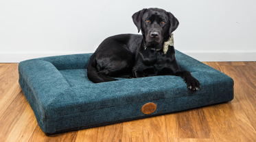 Ascot Orthopaedic Dog Lounger Beds - Comfort & Support for Your Pet - for dogs Snug and Cosy Pets