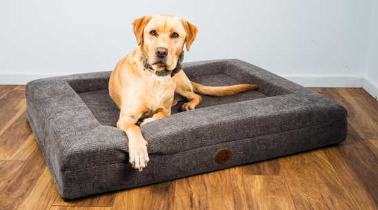 Ascot Orthopaedic Dog Lounger Beds - Comfort & Support for Your Pet - for dogs Snug and Cosy Pets
