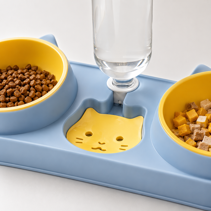 Automatic Pet Feeding & Water Bowl Set