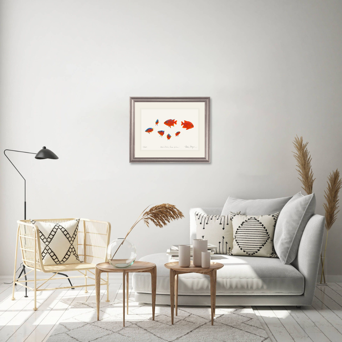 Baby Garibaldis 3 Limited Edition Print Nick Mayer