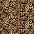 Leopard Skin - Brown 1649-39