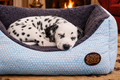 Blue Polka Dot Pet Bed: Cozy and Washable Box Bed for Dogs & Cats - Dog Beds & Box Beds for dogs Snug and Cosy Pets