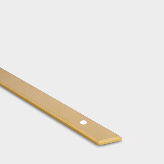 Brass Backplate - Gold - 632mm Hole Centre – rear view