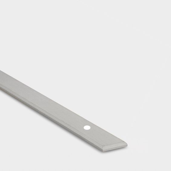 Brass Backplate - Silver - 160mm Hole Centre – rear view
