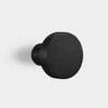 Brass Coat Hook in Black