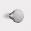 Brass Coat Hook in Silver – rear view