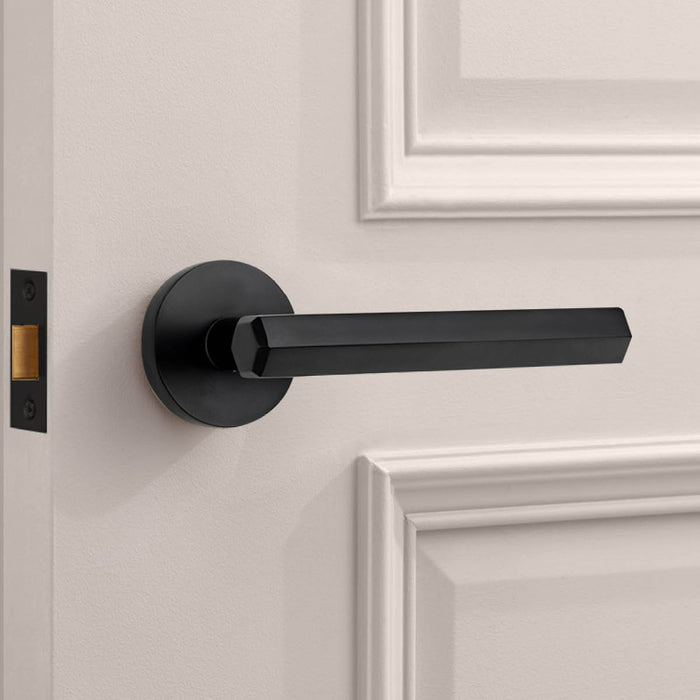 Brass Hexagonal Lever Door Handle in Black – product view 2