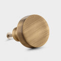 Brass Round Door Knobs in Antique