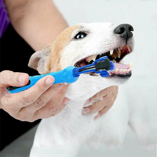 BrightBite Triple-Head Dog Toothbrush