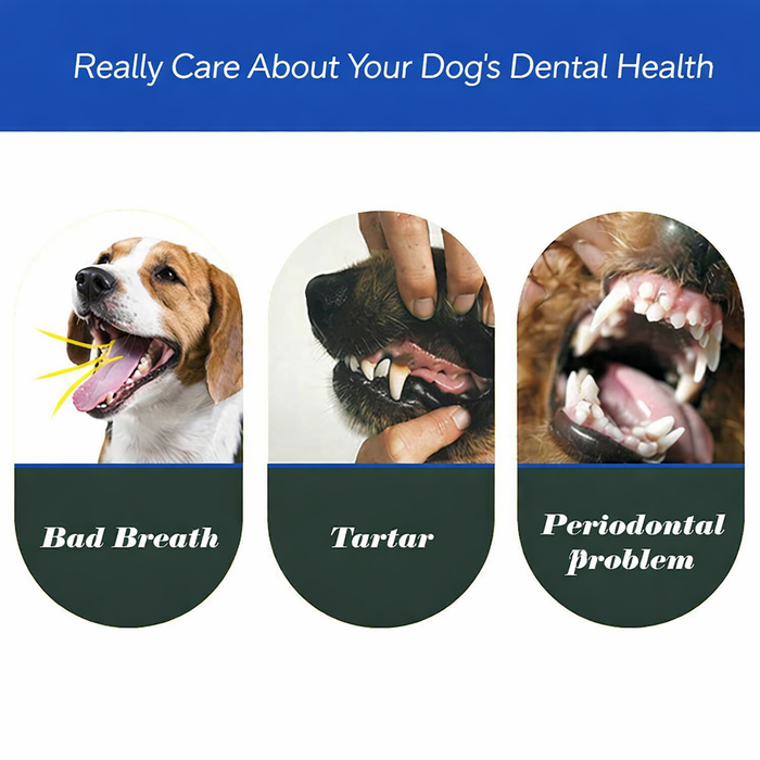 BrightBite Triple-Head Dog Toothbrush