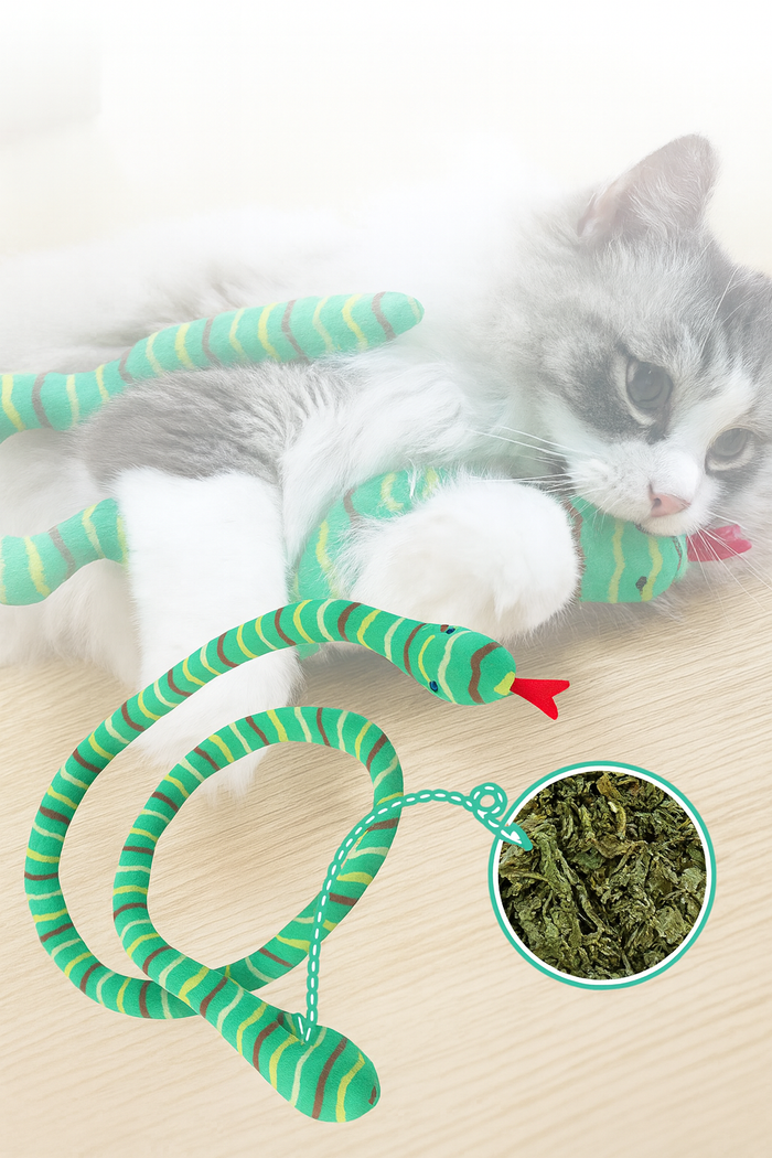 CatnipCatcher Play Snake