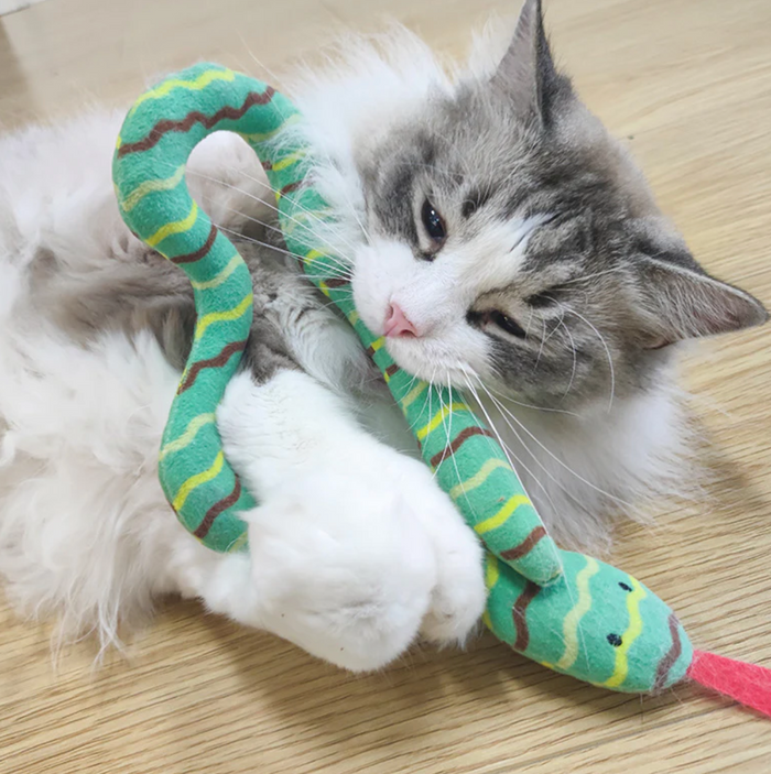 CatnipCatcher Play Snake