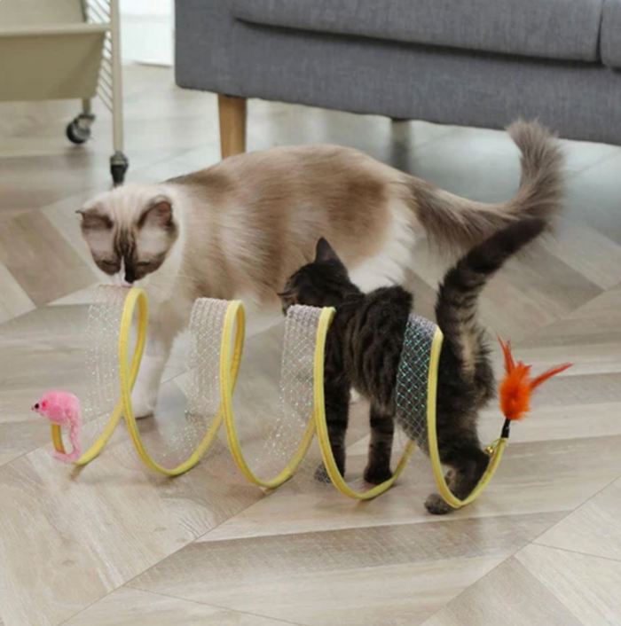 CatTunnel Toy