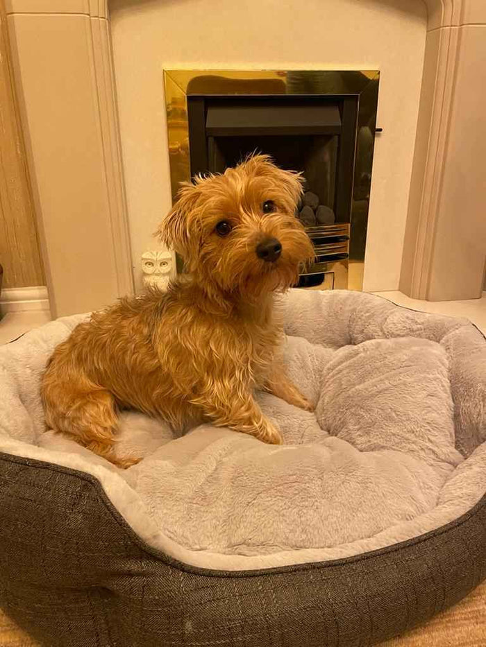 Charcoal Softie Dog Pet Bed - Faux Fur Rectangle Box Bed Machine Washable - Pet Beds for dogs Snug and Cosy Pets