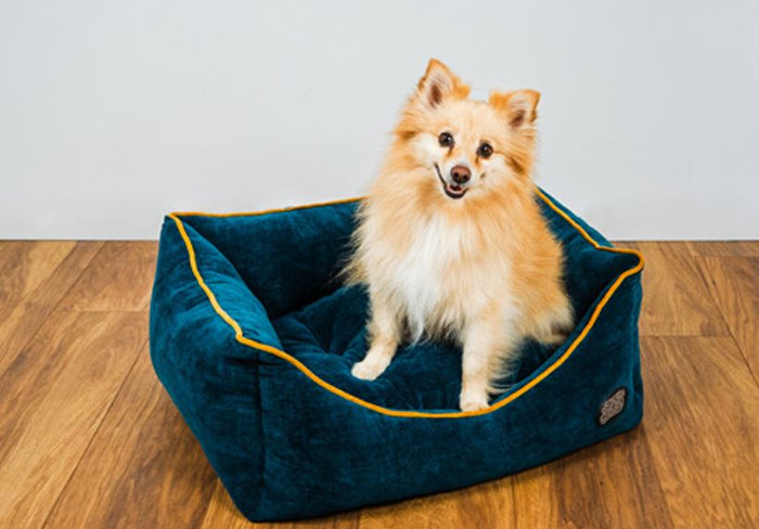 Chelsea Reversible Rectangle Dog Pet Bed – Luxury & Comfort for Your Pup - Dog Bed for dogs Snug and Cosy Pets