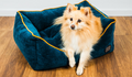 Chelsea Reversible Rectangle Dog Pet Bed – Luxury & Comfort for Your Pup - Dog Bed for dogs Snug and Cosy Pets