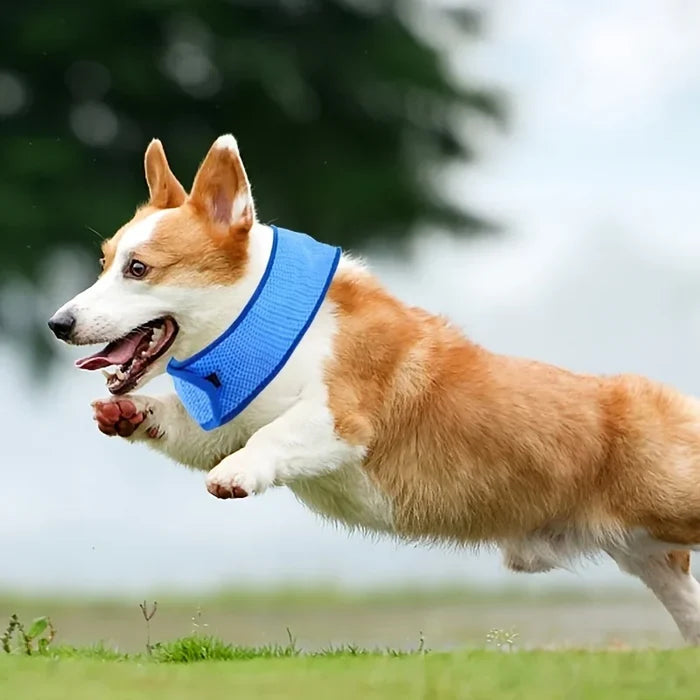 ChillGuard Cooling Pet Collar