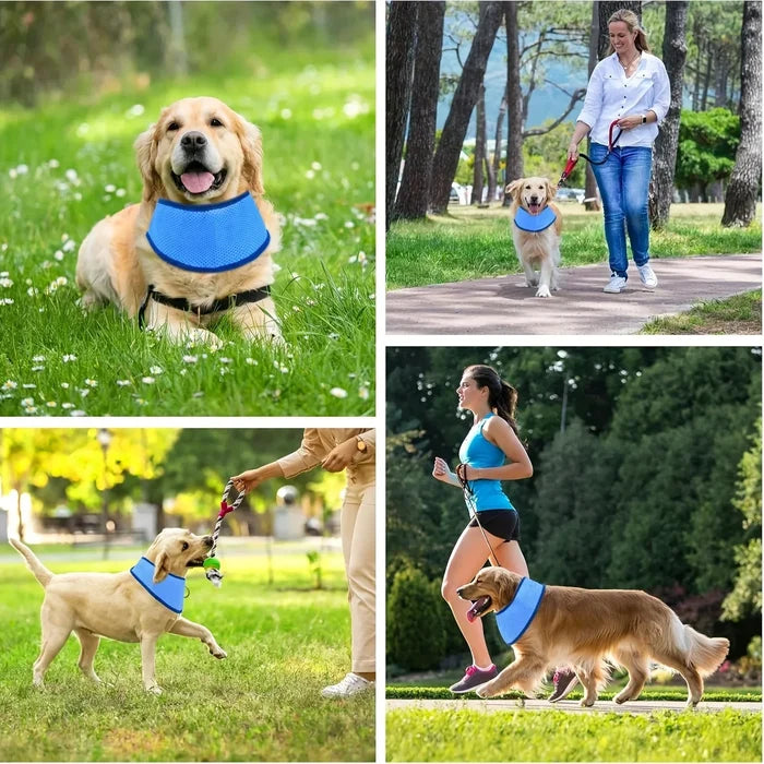 ChillGuard Cooling Pet Collar