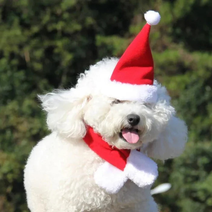 Christmas Hat with Scarf