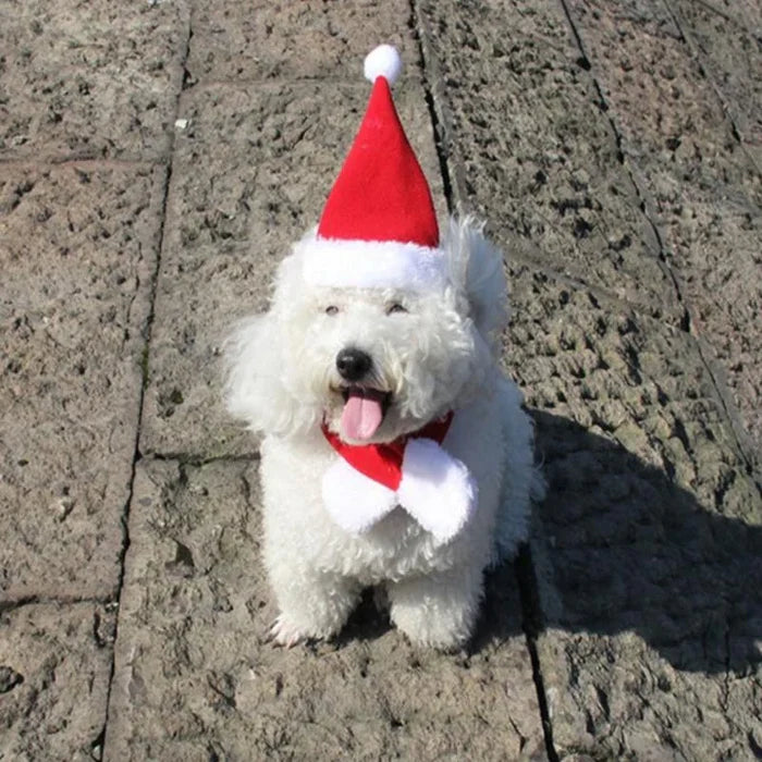 Christmas Hat with Scarf