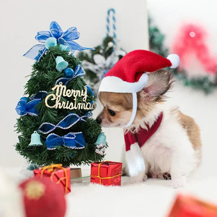 Christmas Hat with Scarf