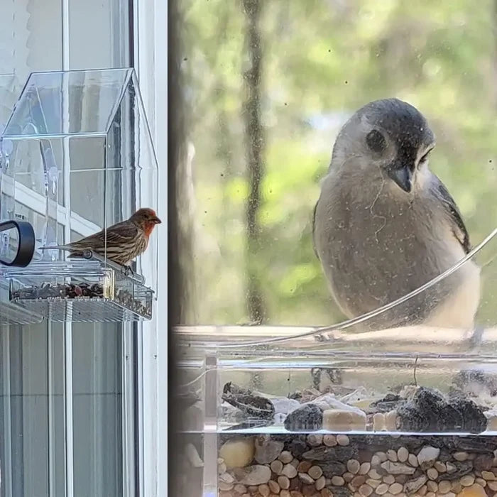ClearView Window Bird Feeder