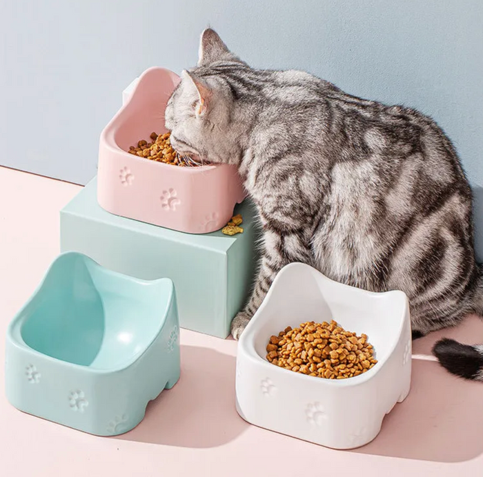 ComfortBowl Premium Cat Feeder