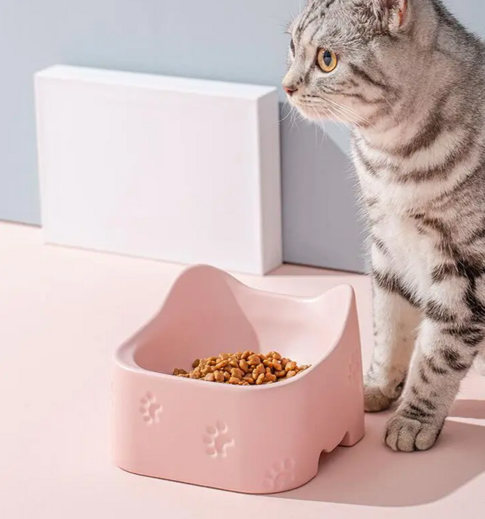 ComfortBowl Premium Cat Feeder