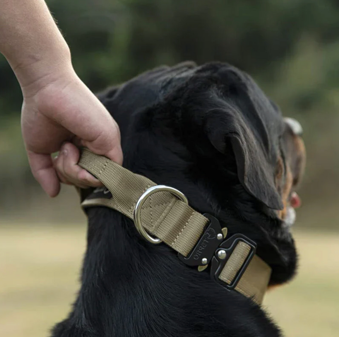 CommandGrip Tactical Dog Collar
