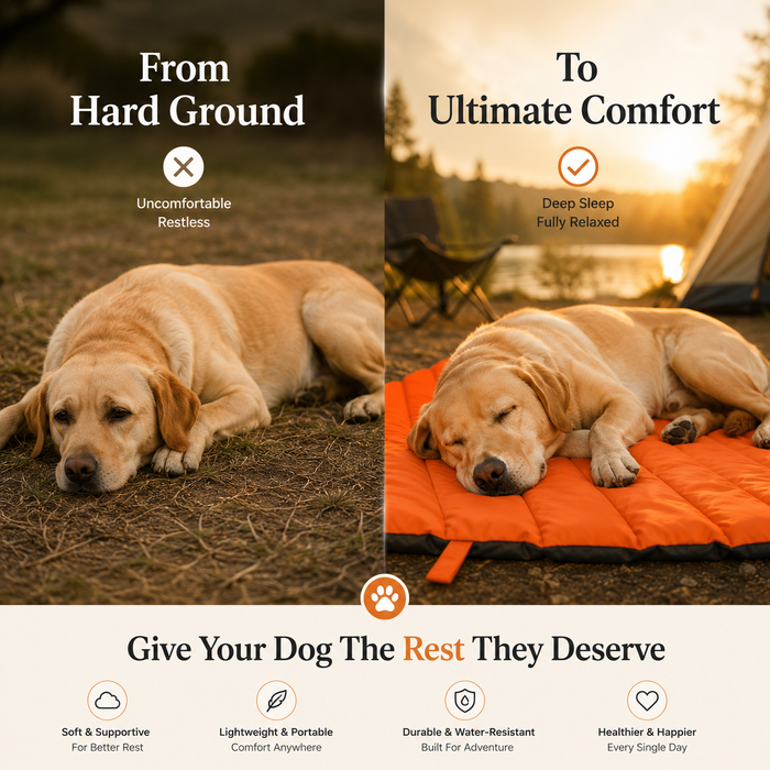 CoolCuddle Summer Pet Bed