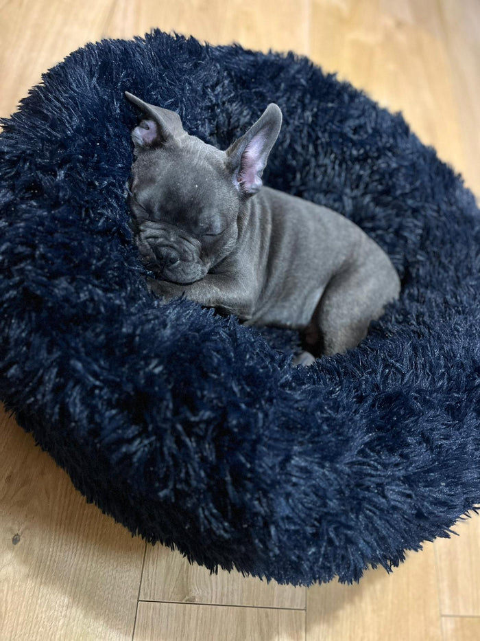Anti Anxiety Donut Dog Pet Puppy Bed - Cozy Comfort for Your Furry Friend - Pet Beds for dogs Snug and Cosy Pets