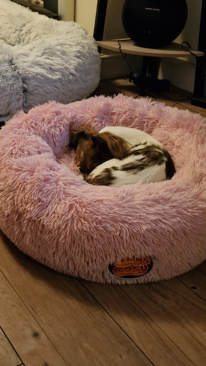 Anti Anxiety Donut Dog Pet Puppy Bed - Cozy Comfort for Your Furry Friend - Pet Beds for dogs Snug and Cosy Pets
