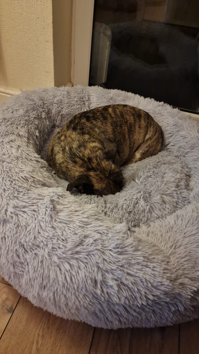 Anti Anxiety Donut Dog Pet Puppy Bed - Cozy Comfort for Your Furry Friend - Pet Beds for dogs Snug and Cosy Pets