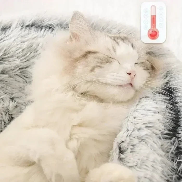 CozyCircle 2-in-1 Semi-Enclosed Round Cat & Pet Bed