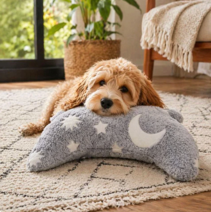 CozyNest Pillow