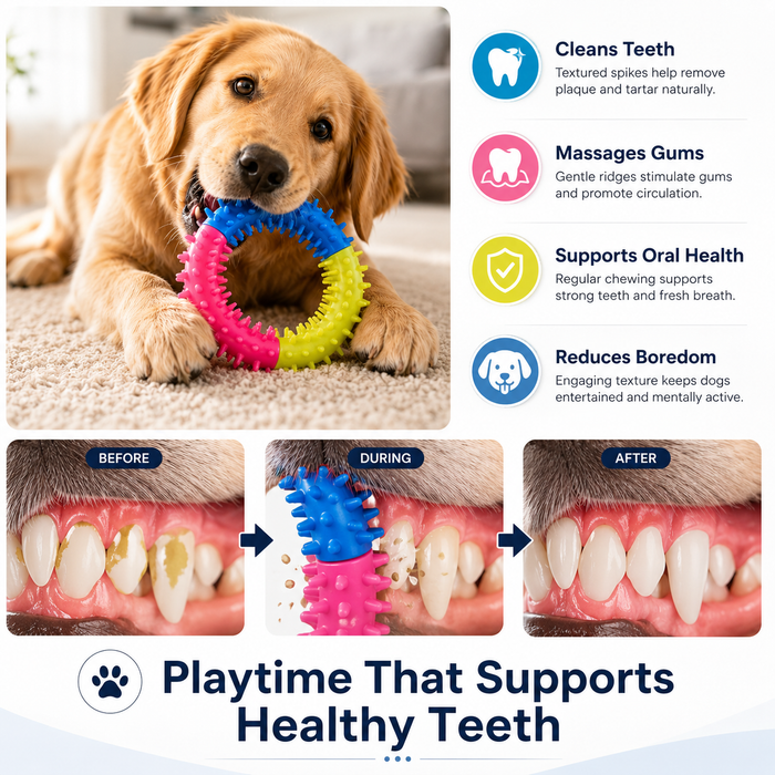 DentalLoop