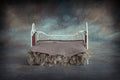 Digital Backdrop