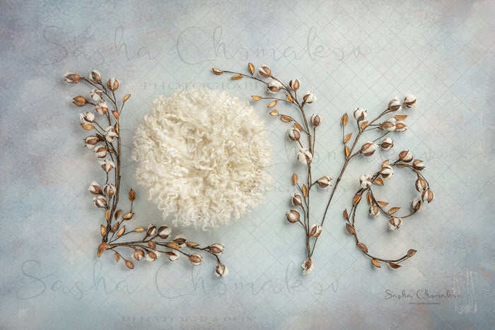 Digital Backdrop