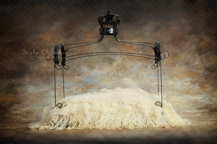 Digital Backdrop
